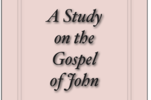 Read more about the article A Study on the Gospel of John by Jesse C Jones