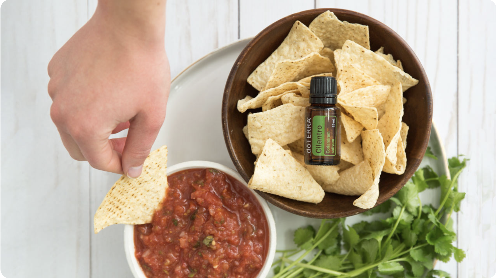 Read more about the article dōTERRA Essential Oils for Healthy Living  — Summer Sensations Blender Salsa