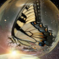 Why Evolution and Biblical Christianity Cannot Coexist