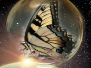 Read more about the article Why Evolution and Biblical Christianity Cannot Coexist