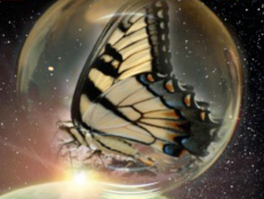 You are currently viewing Why Evolution and Biblical Christianity Cannot Coexist