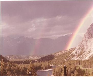 You are currently viewing The Ways of Life